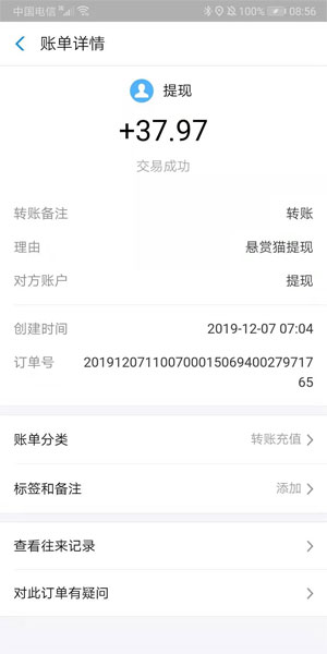 
悬赏猫